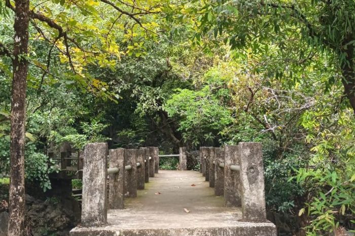 Shinrin-Yoku: Pendekatan Jepang Untuk Meningkatkan Kesehatan Mental Melalui Terapi Alam