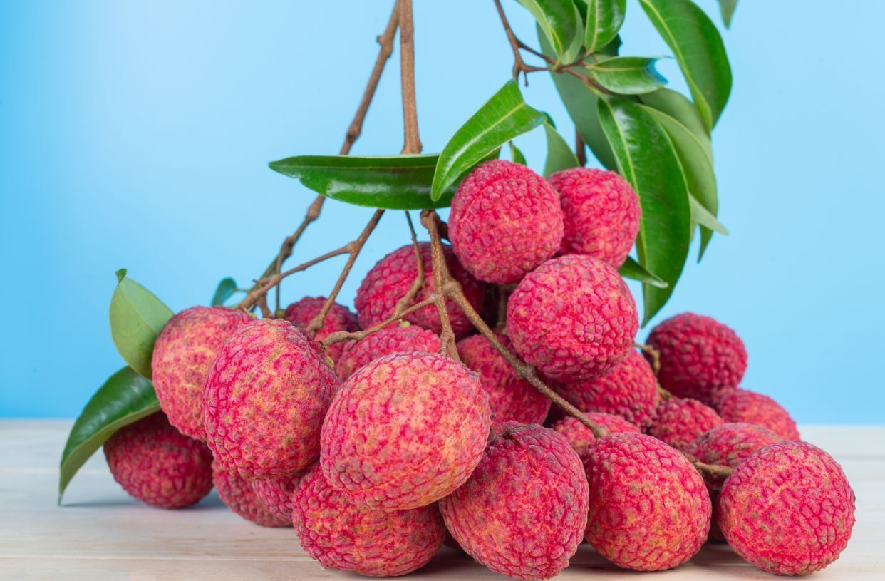 Kandungan Nutrisi dan Manfaat Buah Leci bagi Kesehatan