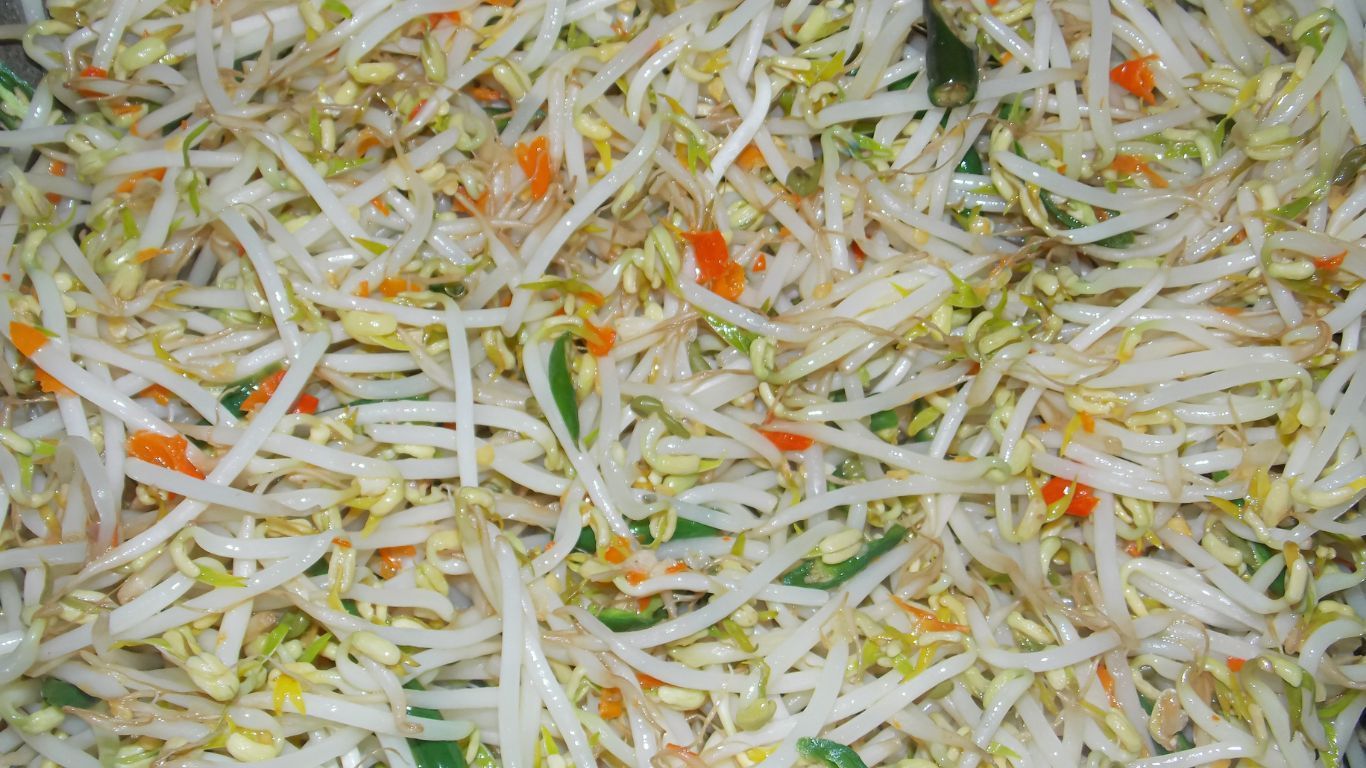7 Manfaat Konsumsi Toge Untuk Pria, Mulai Dari Menjaga Kesehatan Jantung hingga Vitalitas