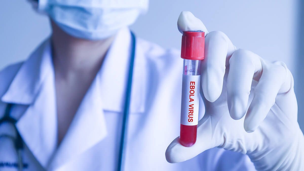 Sejarah dan Karakteristik Penyakit Ebola, Wabah Besar di Afrika Barat pada Tahun 2014-2016