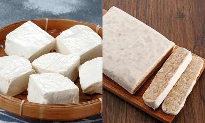 Tahu vs Tempe: Mana yang Lebih Sehat dan Bergizi?