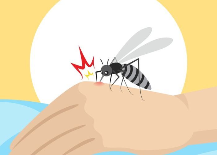8 Cara Mudah dan Efektif Cegah Demam Berdarah