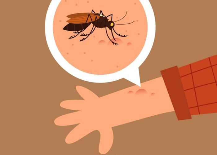 Demam Berdarah: Pengertian, Gejala, Penyebab dan Diagnosis