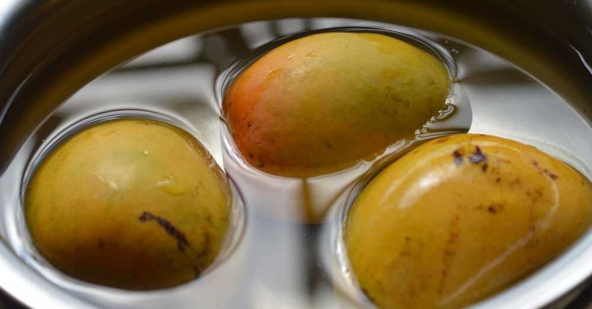 6 Alasan Mangga Sebaiknya Direndam Air Sebelum Dimakan