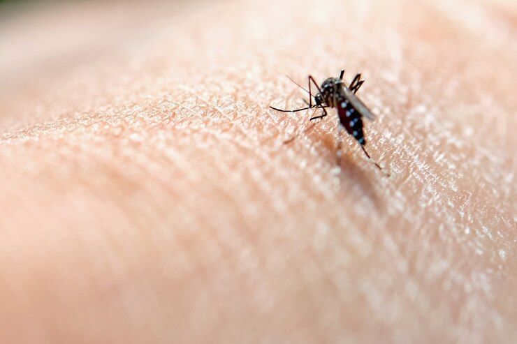 5 Cara Mudah dan Ampuh Untuk Melindungi Anak-Anak dari Malaria