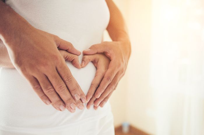 Ketahui Apa Itu Bayi Tabung, Tahapan Program sampai Persiapannya