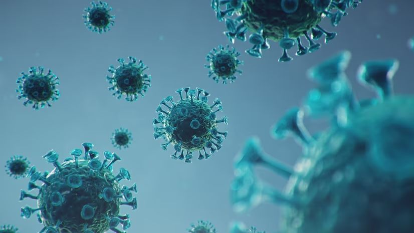 Kondisi COVID-19 di Indonesia Terkini, Virus yang Menyebar Varian MB.1.1