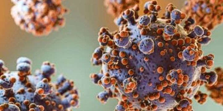 Mengenal Virus Oropouche dari Amerika Selatan, Gejala, Penyebaran, dan Cara Pencegahannya