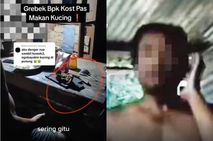 Viral Bapak Kos di Semarang Makan Kucing, Ngaku Udah 10 Kali untuk Obati Diabetes