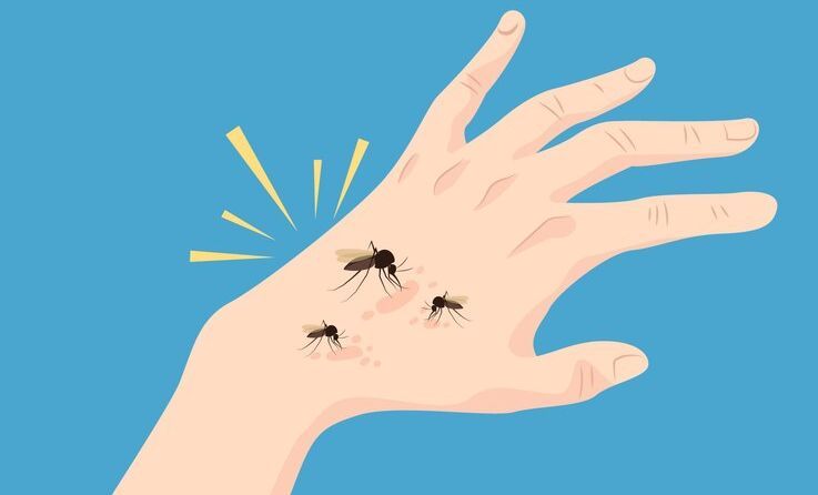 5 Fakta Mengejutkan tentang Virus Oropouche yang Mengintai di Amerika Selatan