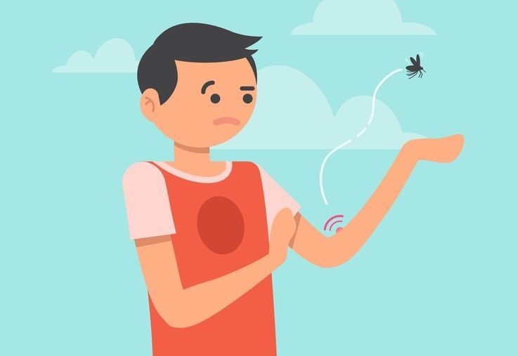 Virus Oropouche: Penyebab, Gejala, Pencegahan dan Pengobatan Lengkap