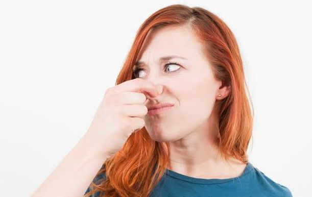 Menguak Fakta: Benarkah Bau Kentut Bisa Berikan Manfaat Kesehatan?