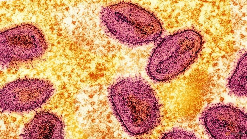 6 Fakta Wabah Virus Mpox yang Kini Sedang Meningkat di Afrika hingga Filipina
