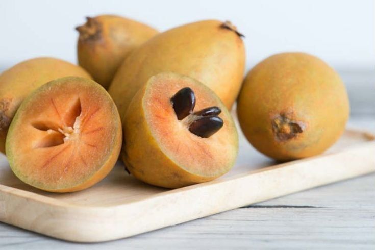 8 Khasit Buah Sawo untuk Kesehatan, Bisa Mencegah Anemia