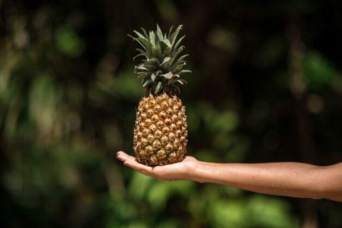 Manfaat Mengonsumsi Nanas saat Perut Kosong: Pencernaan Lebih Baik hingga Kulit Sehat