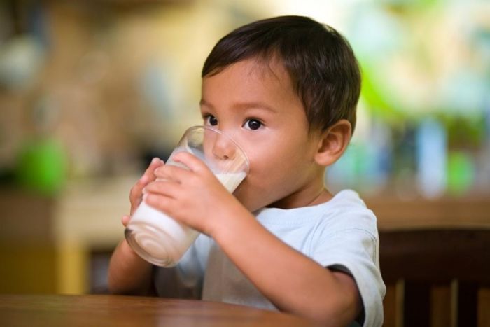 5 Rekomendasi Susu Penambah Berat Badan Anak Terbaik