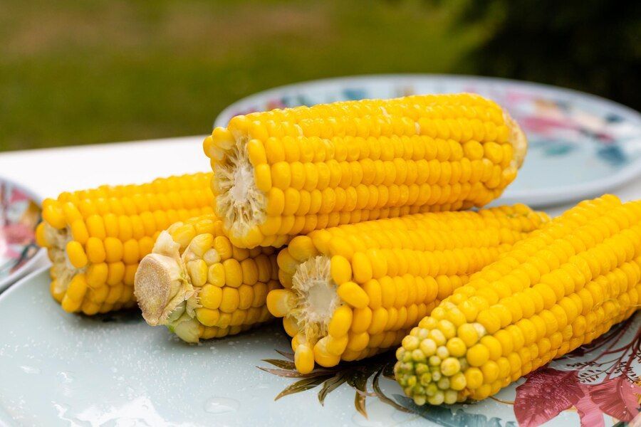 6 Manfaat Konsumsi Jagung, Salah Satunya Bisa Cegah Anemia