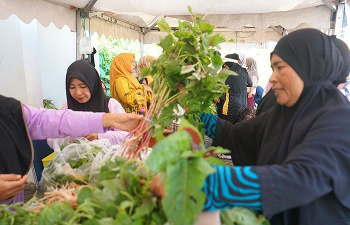 Dukung Gaya Hidup Sehat, Pasar Tani Parepare Hadirkan Sayur dan Buah Organik