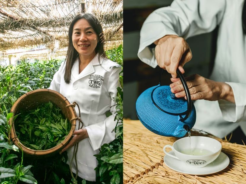 Mengenal Hon-Gyokuro, Teh Hijau Jepang Paling Langka di Dunia