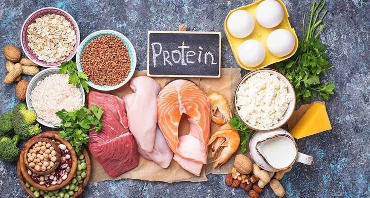 7 Makanan Terbaik dengan Kandungan Protein Tinggi untuk Pola Hidup Sehat