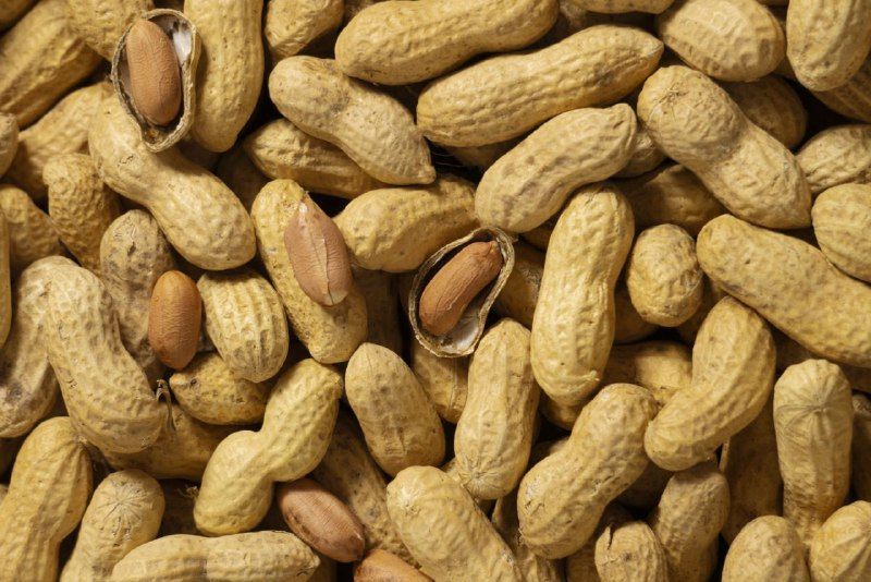 7 Manfaat Kacang Tanah bagi Kesehatan Tubuh yang Jarang Diketahui