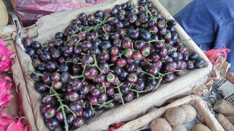 7 Manfaat Kesehatan dari Buah Gowok, Buah Tradisional yang Mulai Dilupakan