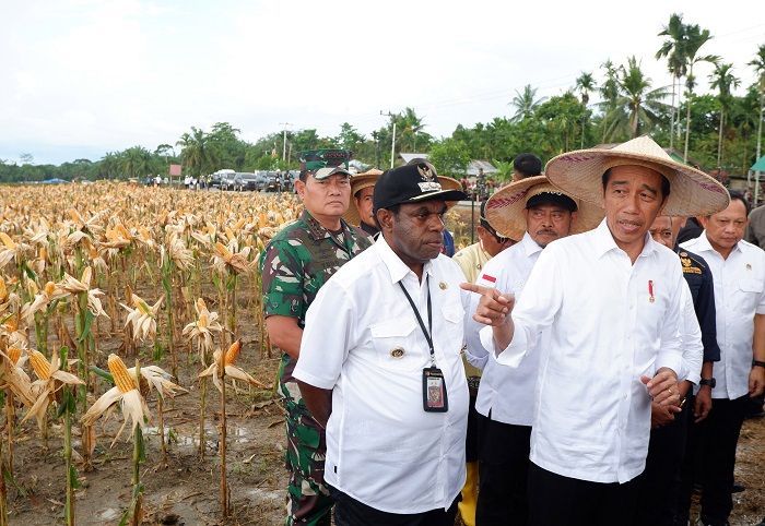 Gempa 5,0 Mengguncang saat Jokowi Makan Siang di Jayapura