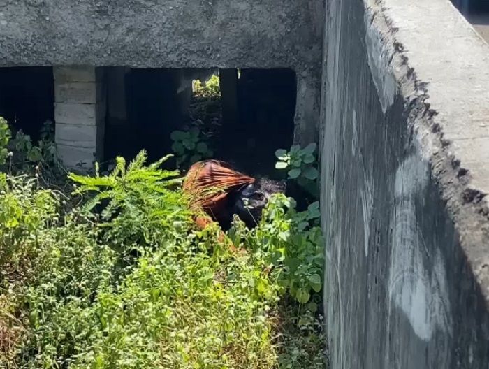 Mayat Tanpa Indetitas Ditemukan Membusuk di Tol Jagorawi-Kampung Rambutan