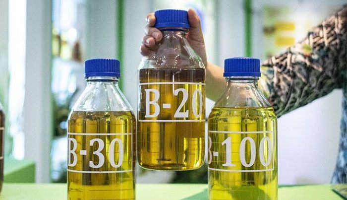 Selain Ramah Lingkungan, Pengembangan Biofuel Bisa Dorong Pertumbuhan Ekonomi