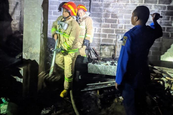 Cerita Pria di Blitar yang Bakar Sarang Tawon hingga Akibatkan Rumah Terbakar