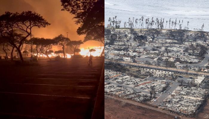 53 Orang Tewas Akibat Kebakaran Hutan di Hawai, Pulau 'Surga' Wisata Dunia Hangus Menghitam