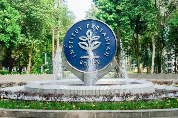 Mahasiswi IPB University Meninggal Terjebak dalam Laboratorium yang Terbakar saat Meneliti dengan Soxhlet