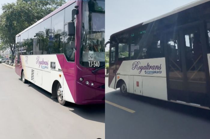 TransJakarta Putuskan Tarif Royaltrans Tetap Rp20 Ribu, Kenaikan Tarif Rp30-40 Ribu Hanya Rencana