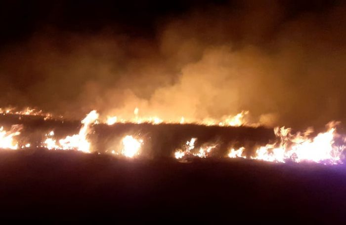 10 Hektare Kawasan Wisata Kawah Wurung Bondowoso Terbakar, Angin Kencang Hambat Pemadaman