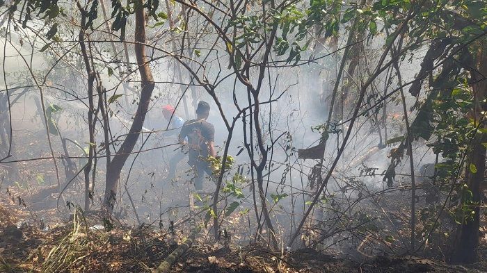 2 Kebakaran Lahan Terjadi dalam Sehari di Parepare, Beruntung Tak Sampai Rumah Warga