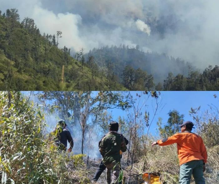 Kabar Baik! Taman Nasional Gunung Bromo Dibuka Kembali Setelah Kebakaran, Begini Cara Beli Tiketnya
