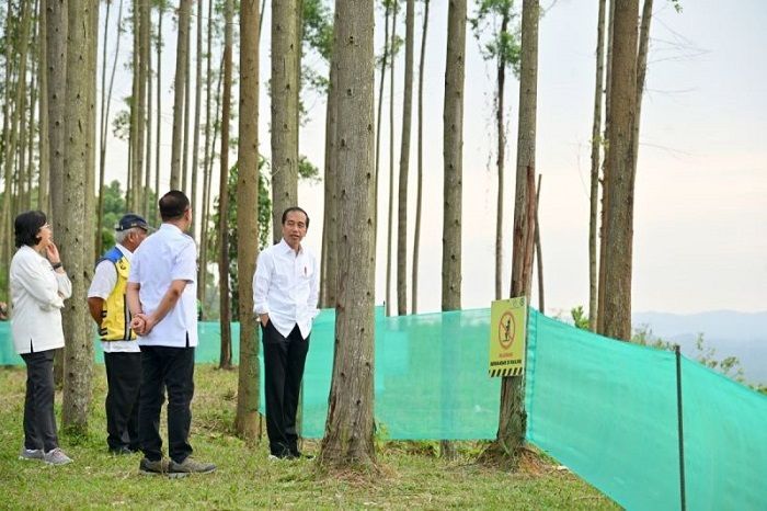 Menkeu Apresiasi Kompleks IKN Sudah Terlihat secara Fisik