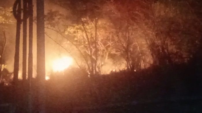 Lahan Seluas 5 Hektar Dilalap si Jago Merah di Pinrang, Damkar Ungkap Kronologinya