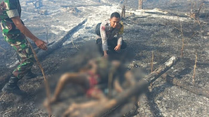 Miris! Petani di Bone Tewas Terpanggang Api saat Bakar Lahannya Sendiri, Sudah Diingatkan Enggak Nurut