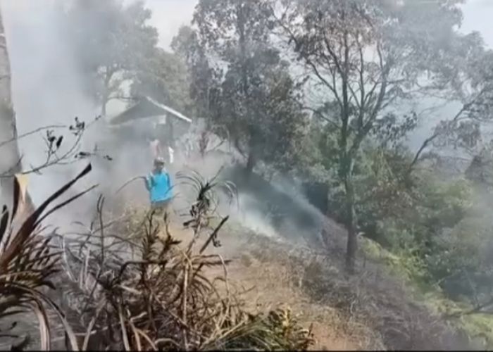 Dampak Kemarau Panjang, 1 Hektar Hutan dan Lahan Lereng Gunung Salak Terbakar