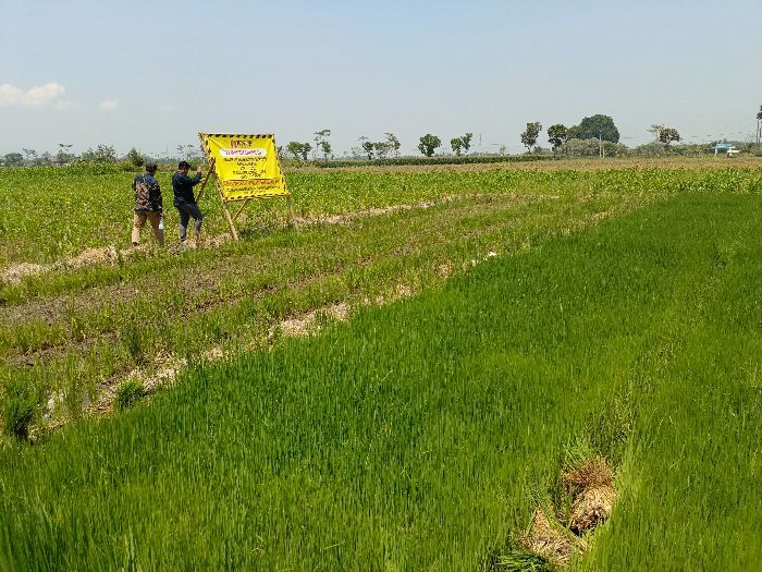 Ngawur! Diduga Jual Tanah Warga, Kades di Jember Terancam Dilaporkan Polisi