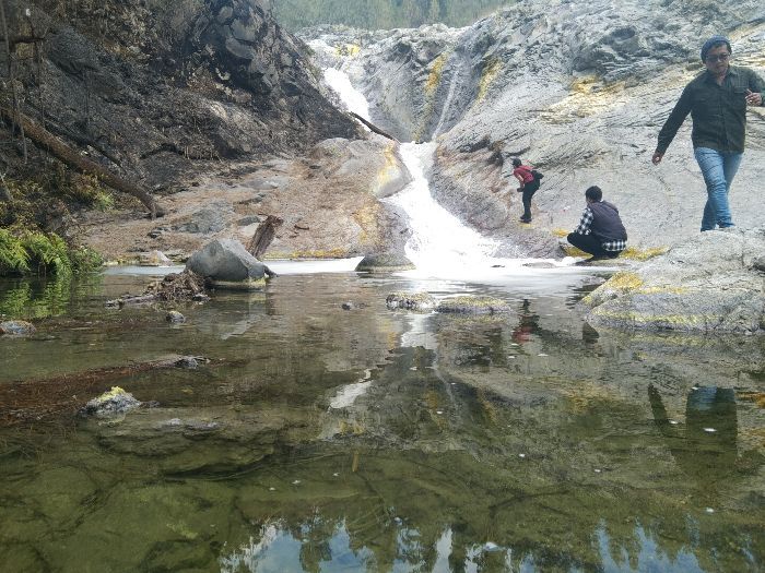 Tercemar Natural, Flora dan Fauna Ogah Tinggal di Air Sungai Kalipait Bondowoso, Ini Penyebabnya!