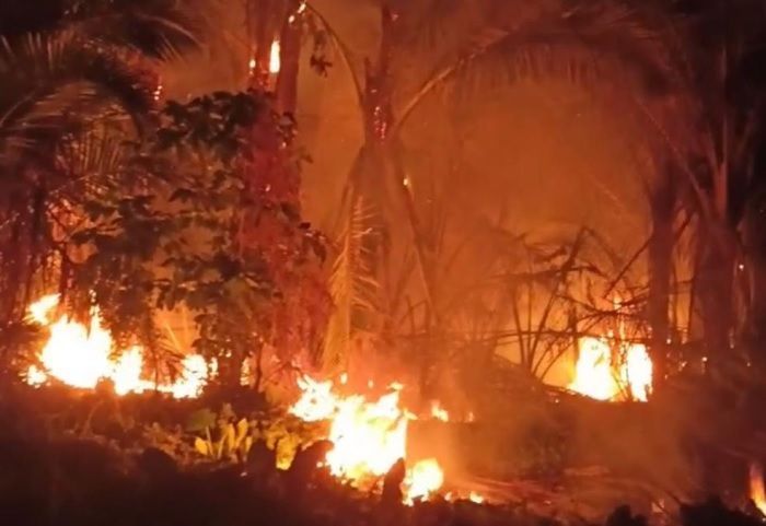 Kemarau Panjang Picu Kebakaran Lahan di Sejumlah Tempat di Kabupaten Kolaka