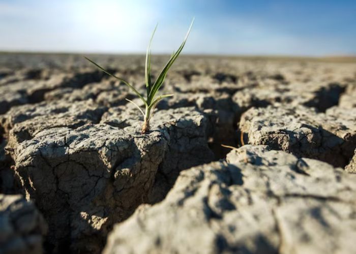 BMKG Ingatkan Dampak El Nino Ancam Kekeringan Global dan Sinergi Mitigasi Krisis Air