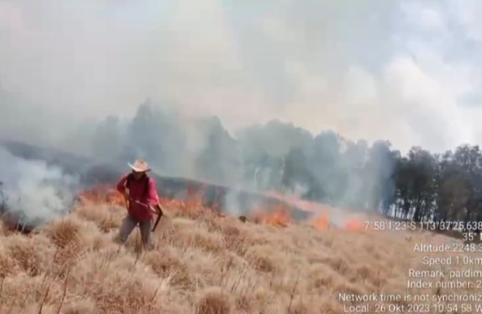 Kebakaran Melanda Kawasan Suaka Margasatwa Dataran Tinggi Gunung Argopuro, Pendakian Ditutup Sementara