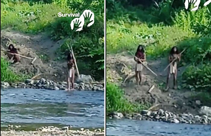 Penduduk Hutan Halmahera Menolak Aktivitas Tambang Nikel, Hadapi dan Halangi Bulldozer yang Mau Masuk