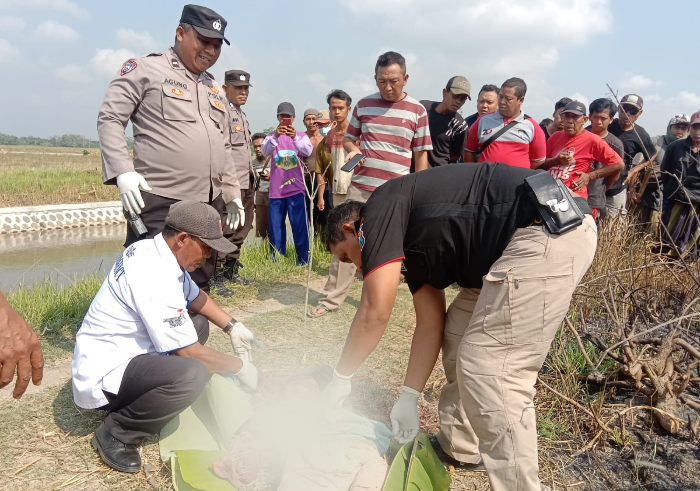 Geger Penemuan Mayat Wanita Tergeletak dengan Luka Gorok di Jember