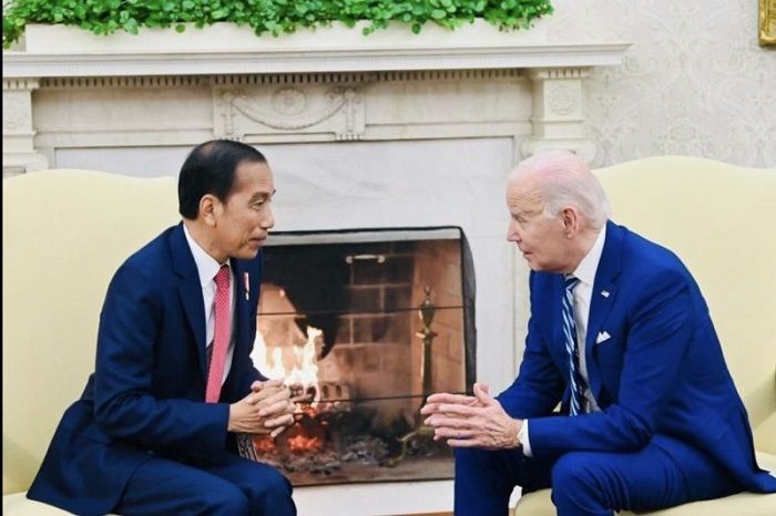 Presiden Jokowi Minta AS Redakan Genosida Israel di Palestina Demi Perdamaian Global