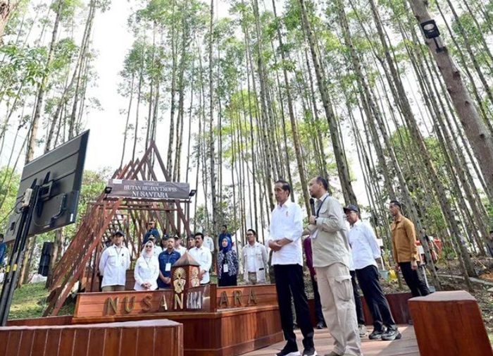 Presiden Jokowi Menanam Pohon dan Tinjau Pembangunan di Ibu Kota Nusantara
