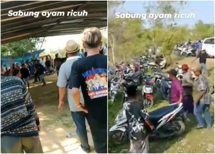 Viral Lokasi Sabung Ayam di Bangkalan Ricuh hingga Kejar-kejaran Bawa Sajam, Emak-emak Histeris